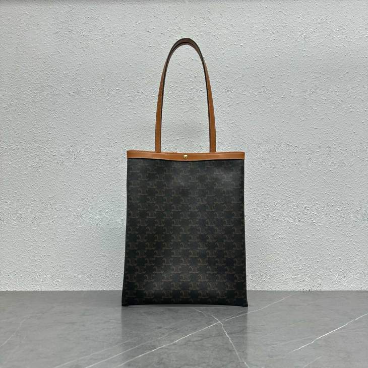 Picture of Celine Handbags _SKUfw230110318fw